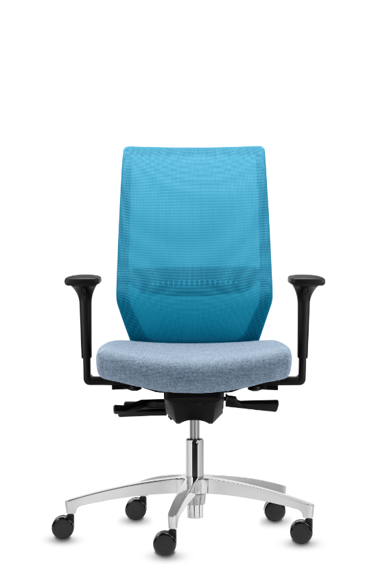 Dauphin office 2025 chair