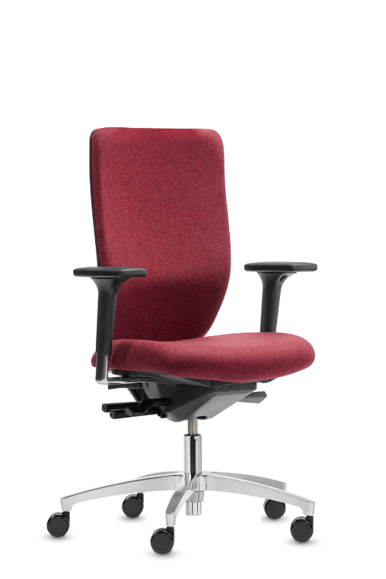Dauphin office chairs Individual ergonomic chairs