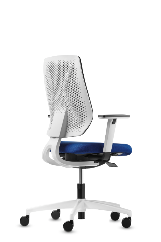 Dauphin sales chairs price