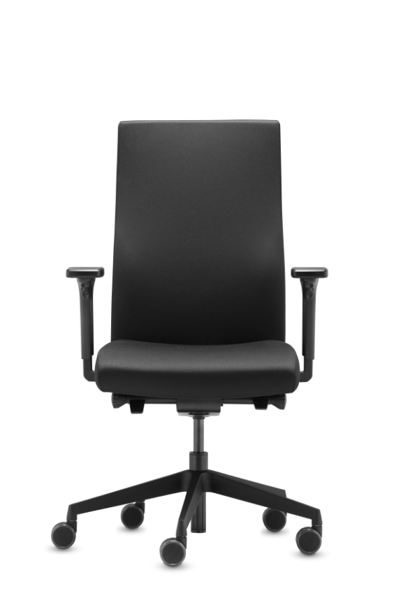 Dauphin chairs hot sale